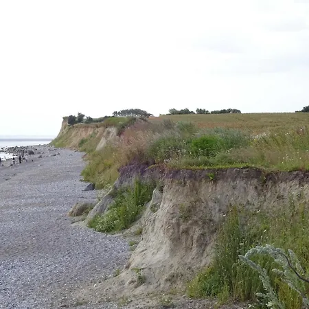 Piratin * Schönhagen